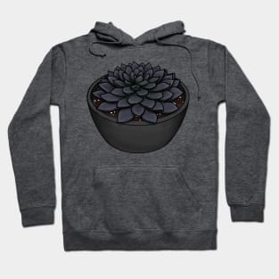 Black Prince Succulent - Echeveria Affinis Hoodie